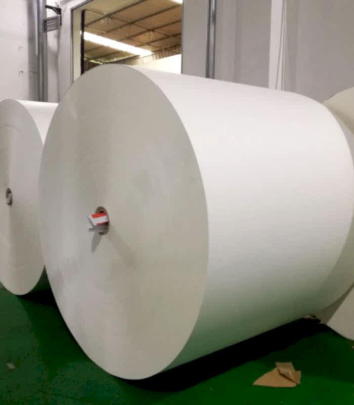 Pe Coated Paper in Roll